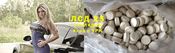 гашик Няндома