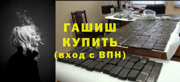 гашик Няндома