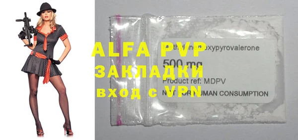 индика Нязепетровск