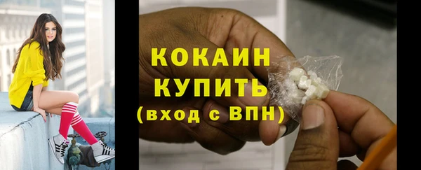 таблы Новозыбков