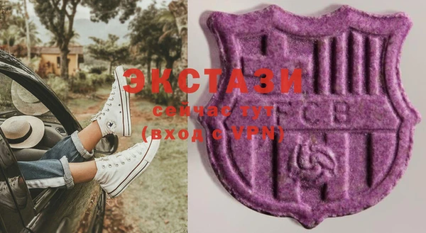 гашик Няндома