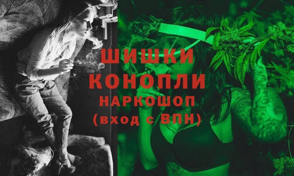 гашик Няндома