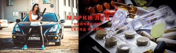 индика Нязепетровск
