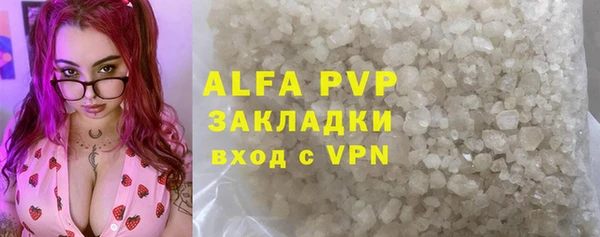 гашик Няндома