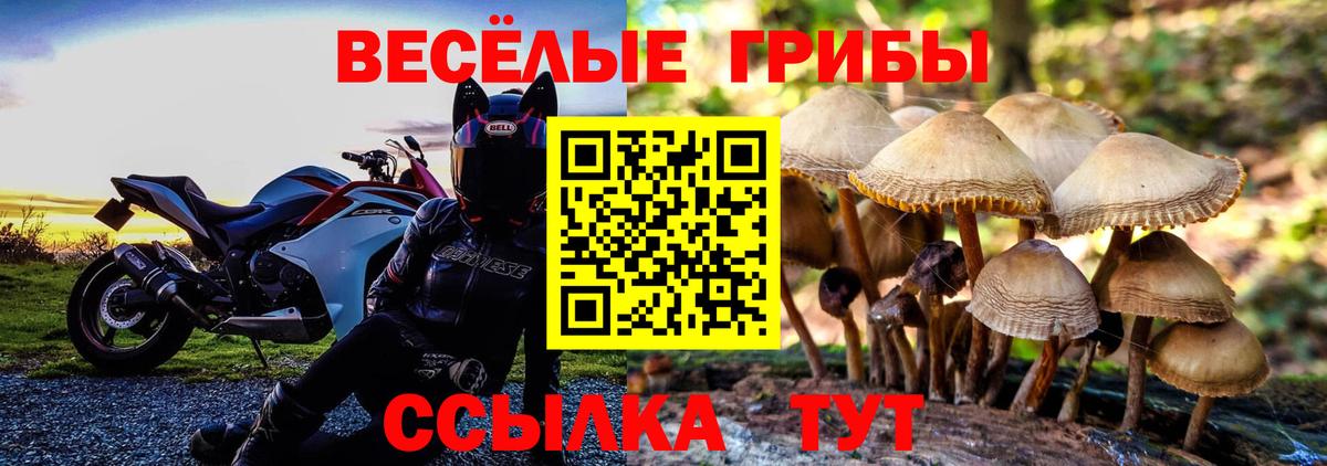 Галлюциногенные грибы мицелий  Вход с VPN  Псилоцибиновые грибы GOLDEN TEACHER  Карпинск 